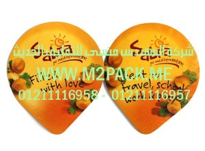 غطاء الرقاقة 2