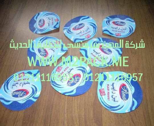 غطاء الرقاقة المجسم