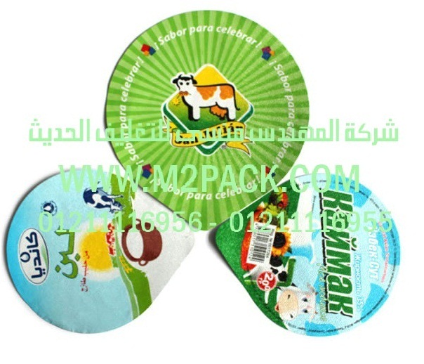 الرقائق المجسمة