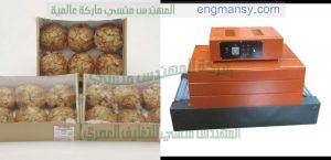 ماكينة تغليف المواد الغذائية وتغليف الحلوى و تغليف عبوات والكيماويات جراكن
